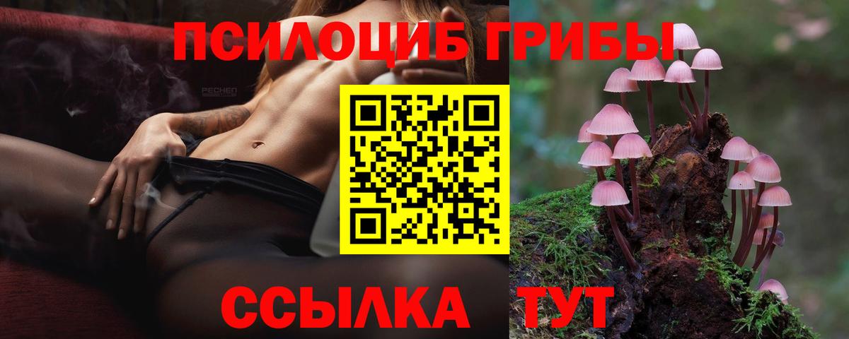 Псилоцибиновые грибы MAGIC MUSHROOMS Лесной