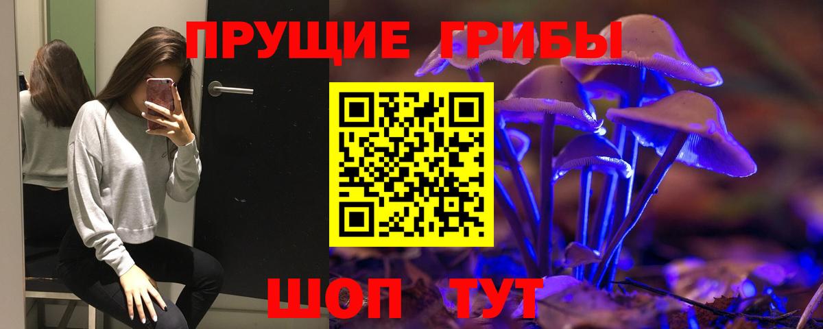 Псилоцибиновые грибы ЛСД  Псилоцибиновые грибы GOLDEN TEACHER  купить наркотик  Лесной  Вход с VPN 